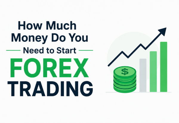 how much money to start forex trading beginner guide