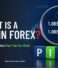 What is a pip in Forex?