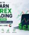 How to Learn Forex Trading